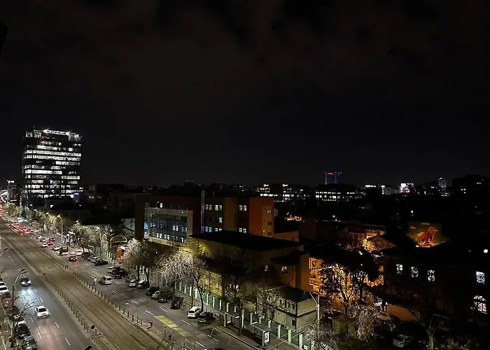 Studio Cozy Piata Victoriei 아파트