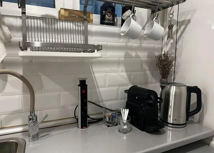 Studio Cozy Piata Victoriei 아파트 부쿠레슈티