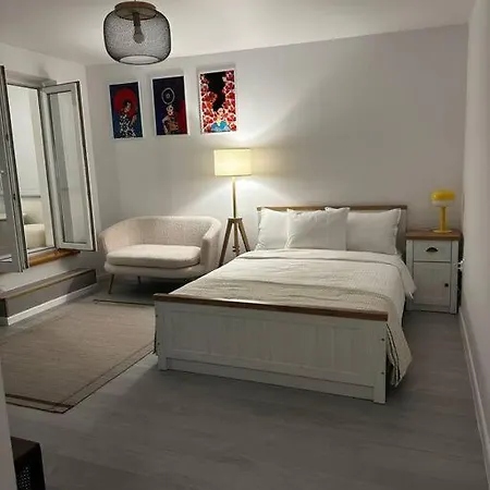 Studio Cozy Piata Victoriei Apartment