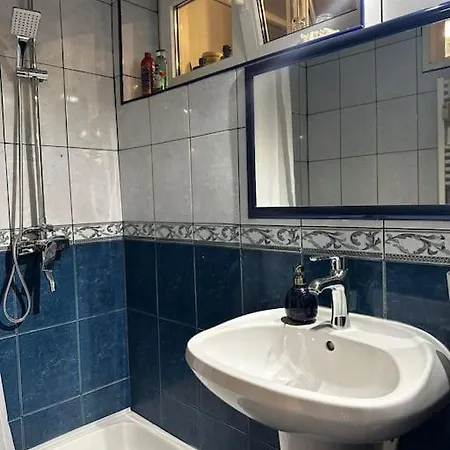 Studio Cozy Piata Victoriei *